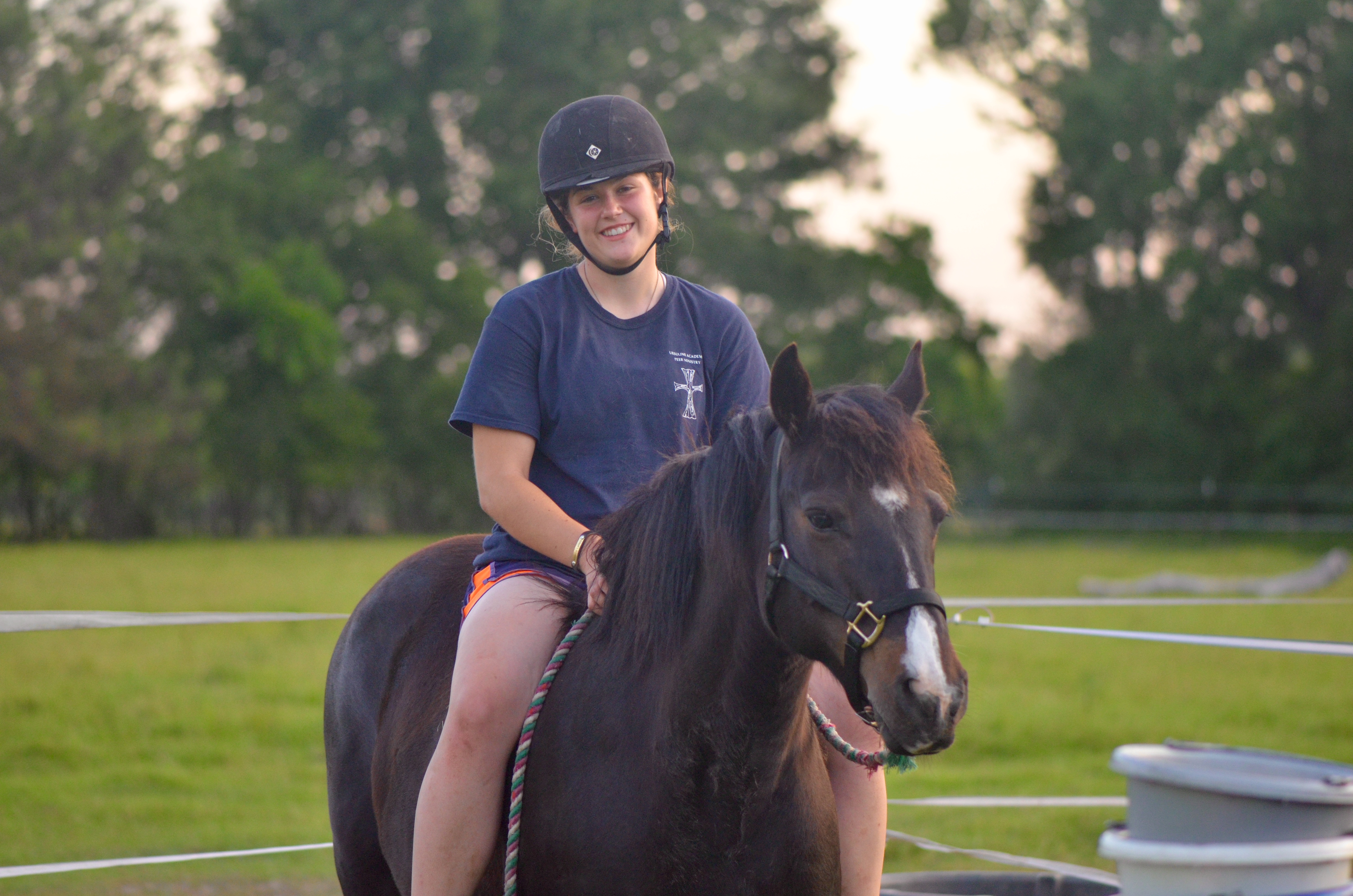 Glenormiston Clemma purebred Connemara mare