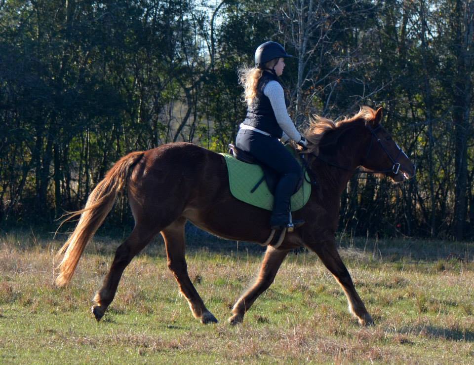 Wildwych Scarlet O'Haira